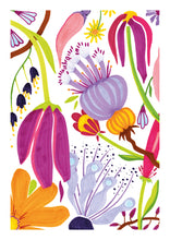 Charger l'image dans la galerie, Pois de senteur