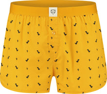 Charger l'image dans la galerie, Yellow dino