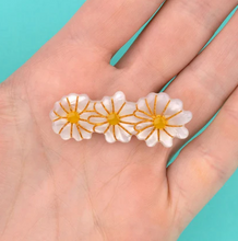 Charger l'image dans la galerie, Pâquerettes