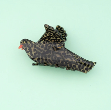 Charger l'image dans la galerie, Grive