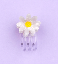 Charger l'image dans la galerie, Paquerette