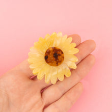 Charger l'image dans la galerie, Tournesol