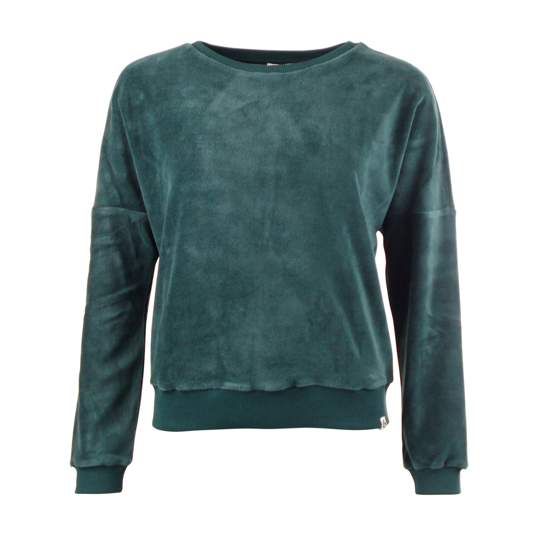 Ponderosa Pine (Vert sapin)