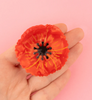 Coquelicot