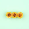 Tournesols