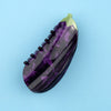 Aubergine