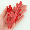 Corail