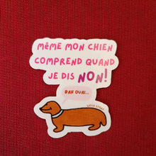 Charger l'image dans la galerie, Mon chien

